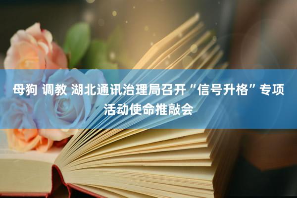 母狗 调教 湖北通讯治理局召开“信号升格”专项活动使命推敲会